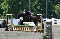 HSM_0565