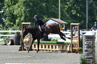 HSM_0566