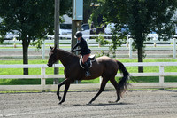 HSM_0569