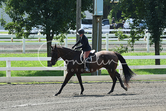 HSM_0570
