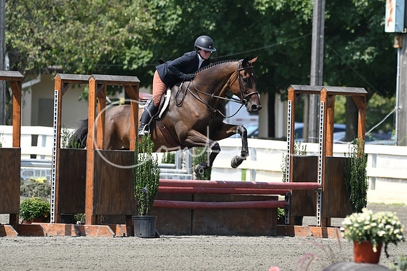 HSM_0599