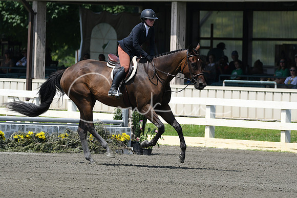 HSM_0602