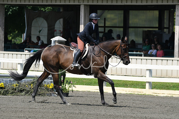 HSM_0603