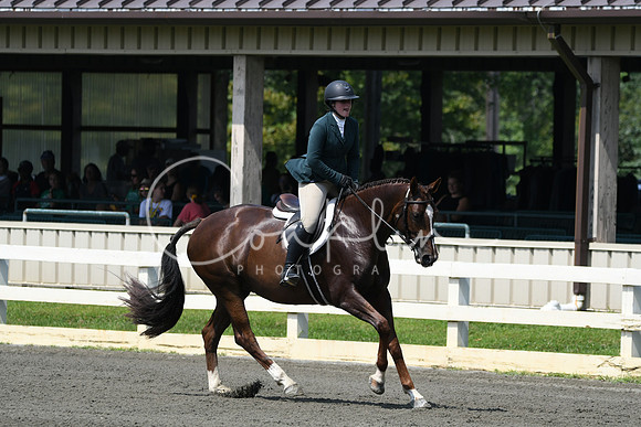 HSM_0611
