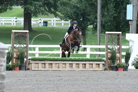 HSM_1021