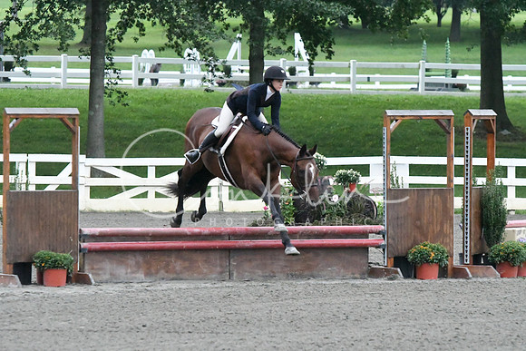 HSM_1031