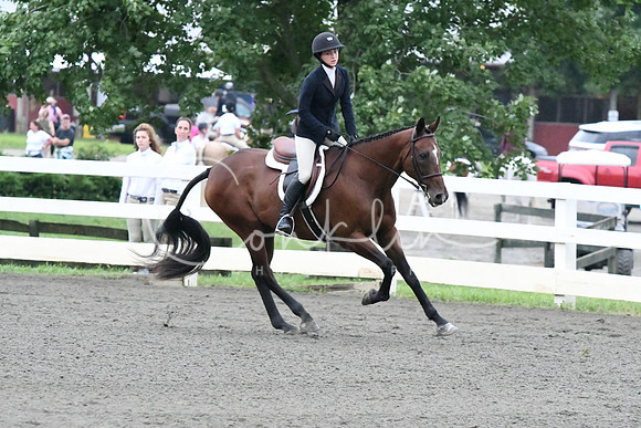 HSM_1032