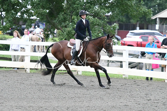 HSM_1033