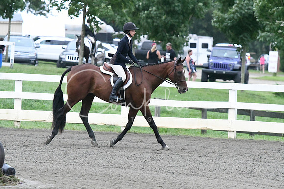 HSM_1034
