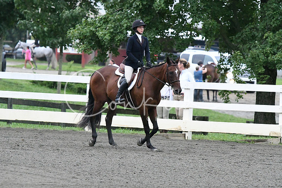 HSM_1036