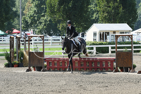 HSM_0333