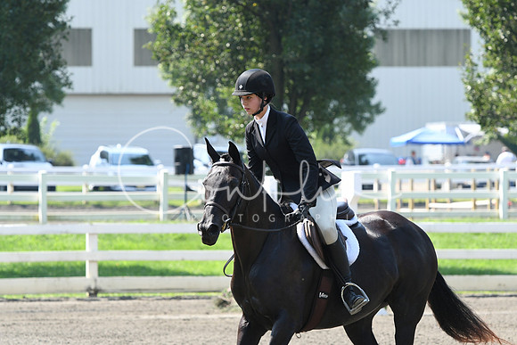 HSM_0334