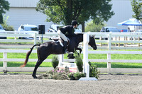 HSM_0335