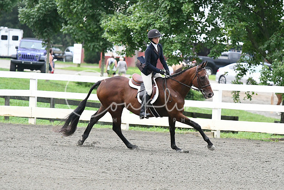 HSM_1093
