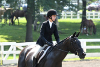 HSM_0340