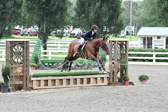 HSM_1099