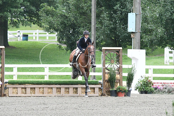 HSM_1096