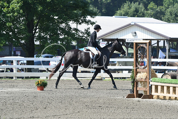 HSM_0342