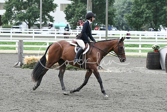 HSM_1102