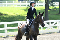 HSM_0241