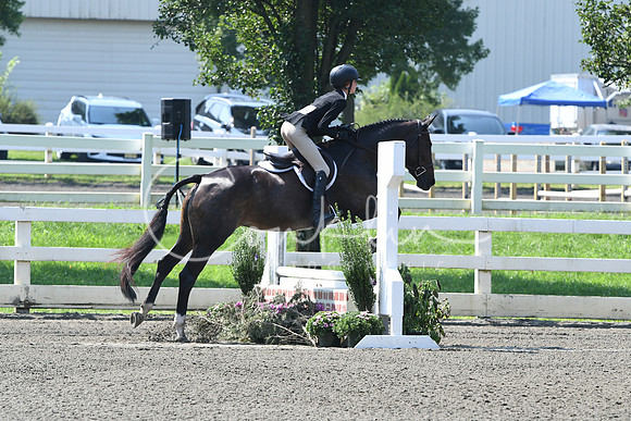 HSM_0246