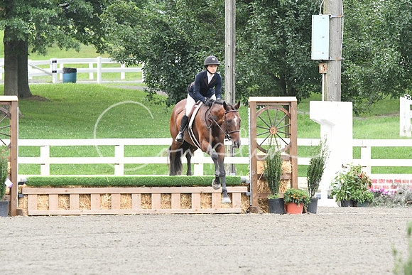 HSM_1153