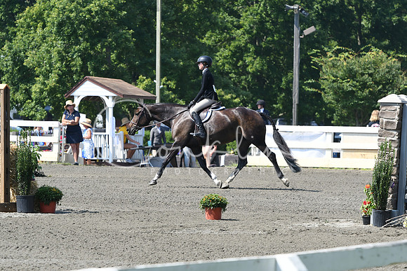 HSM_0248