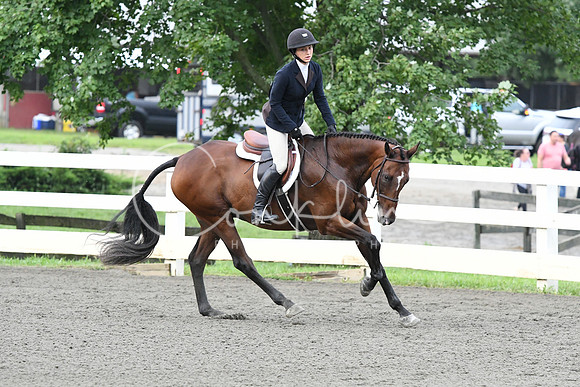 HSM_1162