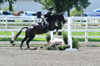 HSM_0282