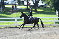 HSM_0286