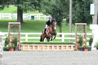 HSM_1223
