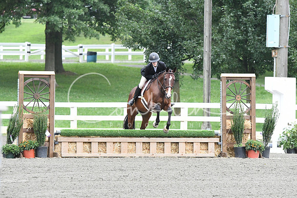 HSM_1224