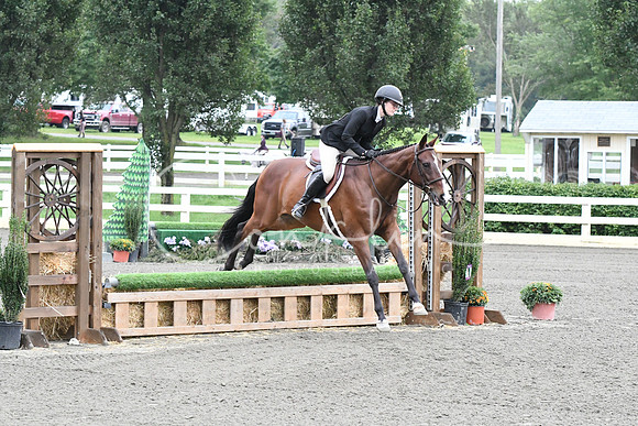 HSM_1228