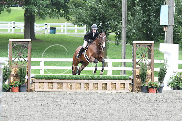 HSM_1274