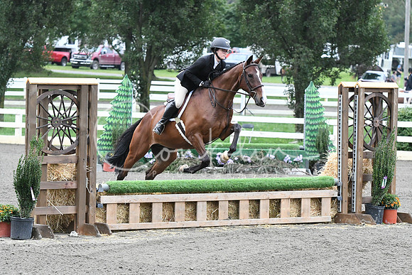 HSM_1275
