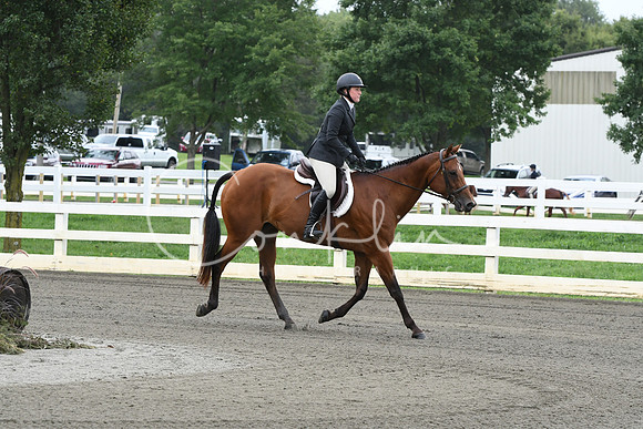 HSM_2522