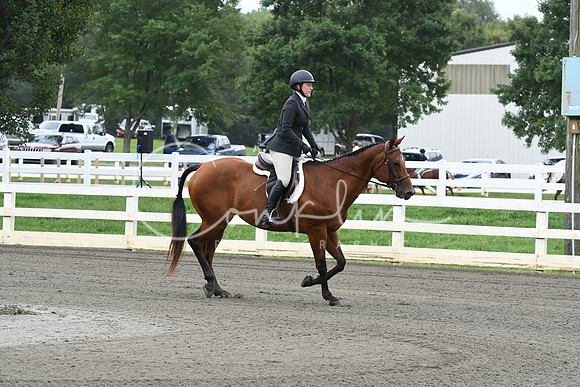 HSM_2523