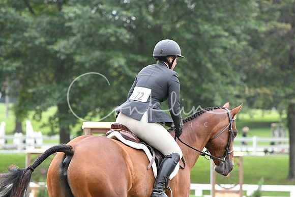 HSM_2556