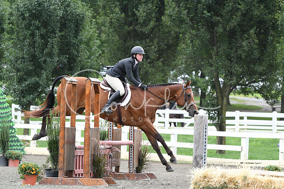 HSM_2561