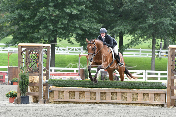 HSM_2628