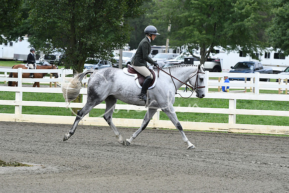 HSM_4119