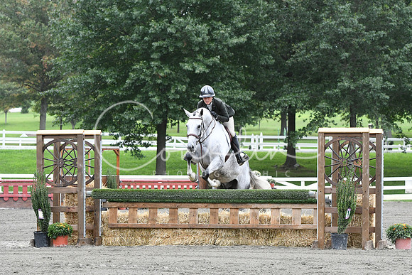 HSM_4132