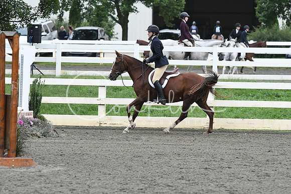 HSM_1361