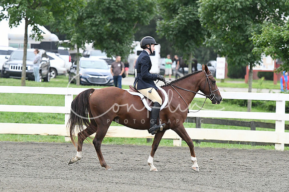 HSM_1375