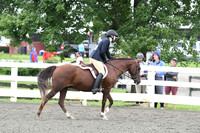 HSM_1378