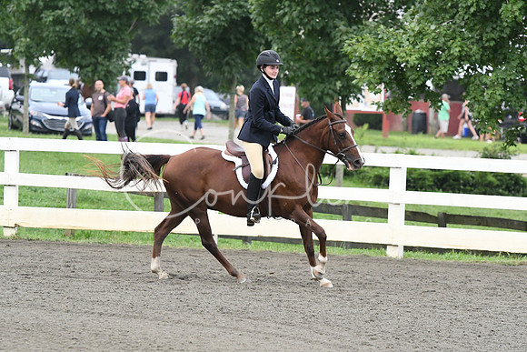 HSM_1443