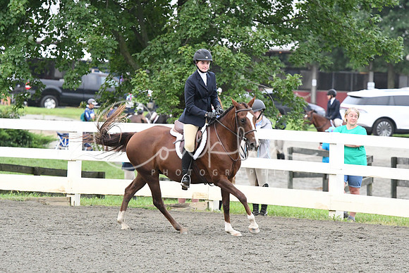 HSM_1445