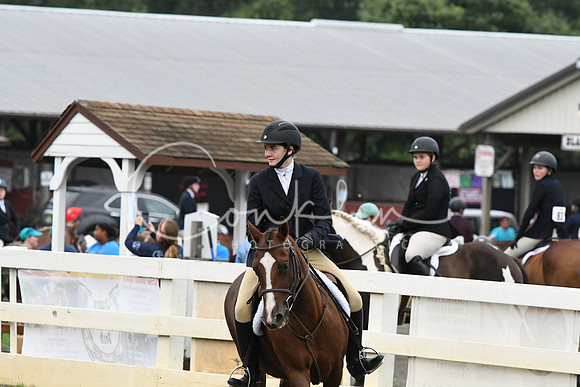 HSM_1447