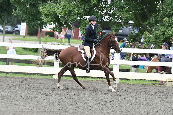 HSM_1451