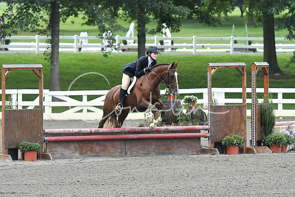HSM_1450